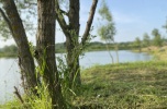 Agroturystyka, kąpieliska, domki, łowienie, wypoczynek, rozrywka
