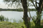 Agroturystyka, kąpieliska, domki, łowienie, wypoczynek, rozrywka
