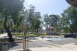 Bar Azjatycki