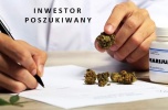 Branża konopna
