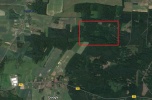 Bukowice - działka 21 ha / 211 200 m²