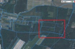 Bukowice - działka 21 ha / 211 200 m²
