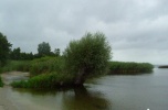 Camping rodzinny nad Zalewem szczecińskim