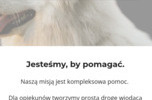 Centrum terapii zwierząt chętnie nawiąże współpracę