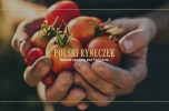 Dobrze rozwinięty biznes sprzedam, pilnie