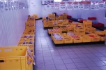 Działający obiekt produkcyjno-usługowo-mieszkalny - rozbiór mięsa, produkcja wyrobów mięsnych