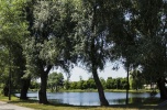Działka budowlana Wille Bydgoszcz