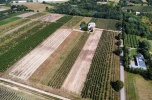 Działka przemysłowa przy S8