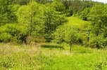 Działka Zohatyn 61 arów gm. Bircza