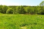Działka Zohatyn 61 arów gm. Bircza
