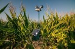Field Guards - strażnik pól - innowacyjny startup Agritech z trakcją