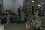 Funkcjonujący biznes, e-sklep z zastrzeżoną marką