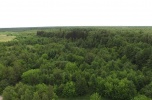 Germany pellet production plant Ukraine