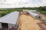 Germany pellet production plant Ukraine