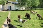 Gospodarstwo hobbystyczne