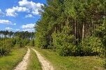 Gotowy kompleks działek UT w Dolinie Baryczy – Pomorska k. Milicza