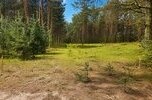 Gotowy kompleks działek UT w Dolinie Baryczy – Pomorska k. Milicza