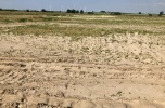 Grunt inwestycyjny 13,5 ha nad morzem / 200 zł/m2
