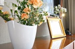 Hotel & Spa **** u podnóża Gór Sowich