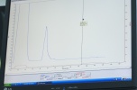 Inwestycja w produkcję zestawów immunoenzymatycznych