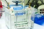 Inwestycja w produkcję zestawów immunoenzymatycznych