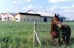 Meble medyczne - sprzedam dochodową firmę
