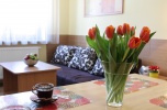 Mikrobiznes apartamenty z historią i klientami