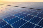 Na sprzedaż gotowe farmy fotowoltaiczne 2MW+4MW+4MW