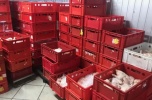 Na sprzedaż zorganizowane przedsiębiorstwo z branży spożywczej z siecią sklepów (zakład mięsny)
