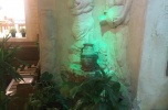 Odstąpię dobrze wyposażoną restauracje, ochota