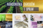 Oferta dla dobrego organizatora sprzedaży. Firma  B 2 B pozyskująca ponad 300 klientów miesięcznie
