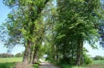 Ośrodek na Mazurach