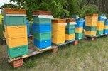 Pasieka Wielkopolska rozkręcony biznes z marką, sklepem online i bazą B2B. od 300 do 400 tys. dochod