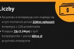 Platforma internetowa dla korepetytorów działająca w sektorze edutech