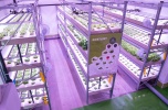 Poszukujemy inwestorów do budowy farm akwaponicznych