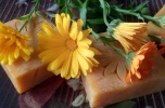 Produkcja kosmetyków naturalnych