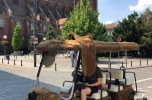 Przedsiębiorstwo turystyczne  z melexem