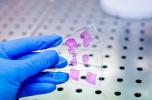Spółka medtech - diagnostyka nowotworowa