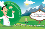 Sprzedam branding producenta pierogów zwykłych i wegańskich