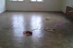 Sprzedam budynek - kamienicę stan bd, ok 294 zł metr kwadratowy