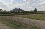 Sprzedam działkę budowlaną (inwestycja) koło Kalisza - Żelazków