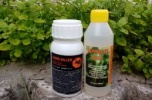 Sprzedam firmę chemiczną - insekty