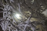 Sprzedam nieruchomość na apartamenty w Karpaczu