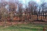 Sprzedam pałac z projektem na dom seniora, Spa, hotel lub inny biznes