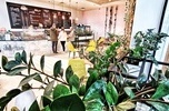 Sprzedam popularną sieć kawiarni Galeria Posnania/Galeria Pestka + trzeci lokal w przygotowaniu