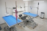 Sprzedam salon groomerski - Warszawa, Ursynów