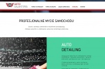 Sprzedam stronę internetową z domeną, koncepcją sprzedażową i logo