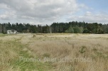 Sprzedam teren inwestycyjny o pow. 2,77 ha