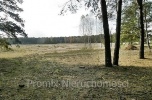 Sprzedam teren inwestycyjny o pow. 2,77 ha