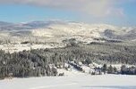 Sprzedam teren usługowy pod apartamenty - Istebna - Trójwieś Beskidzka - atrakcyjny dojazd z S1